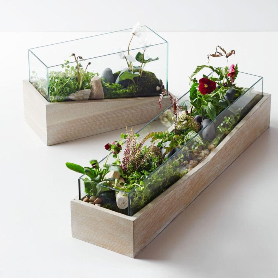 Long Planter Box Indoor