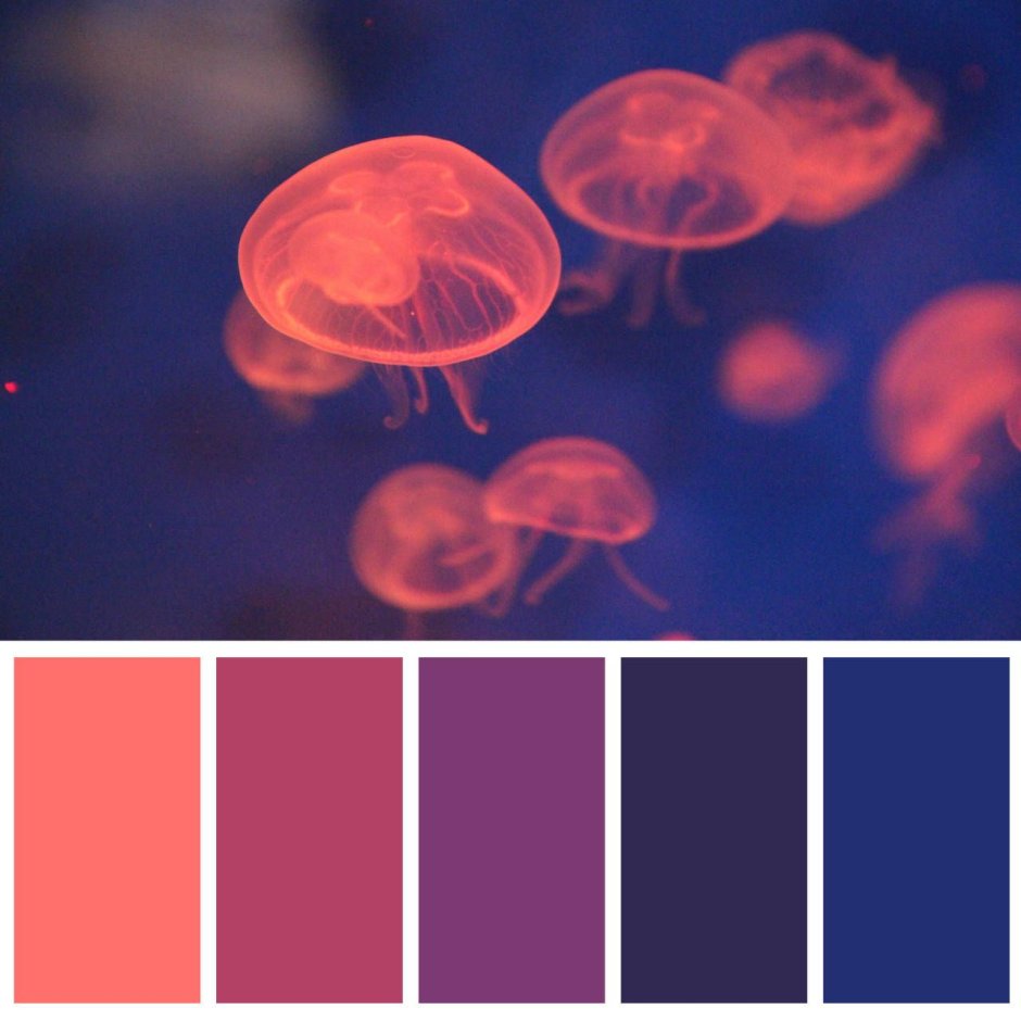 Рассвет цветовая палитра