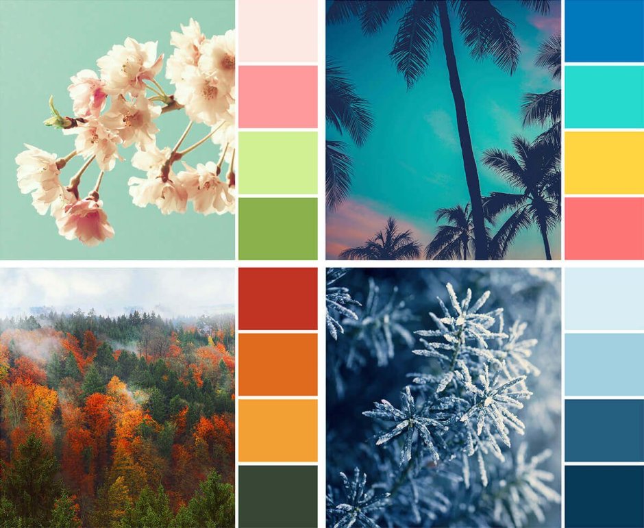 Палитра Сидс сирень