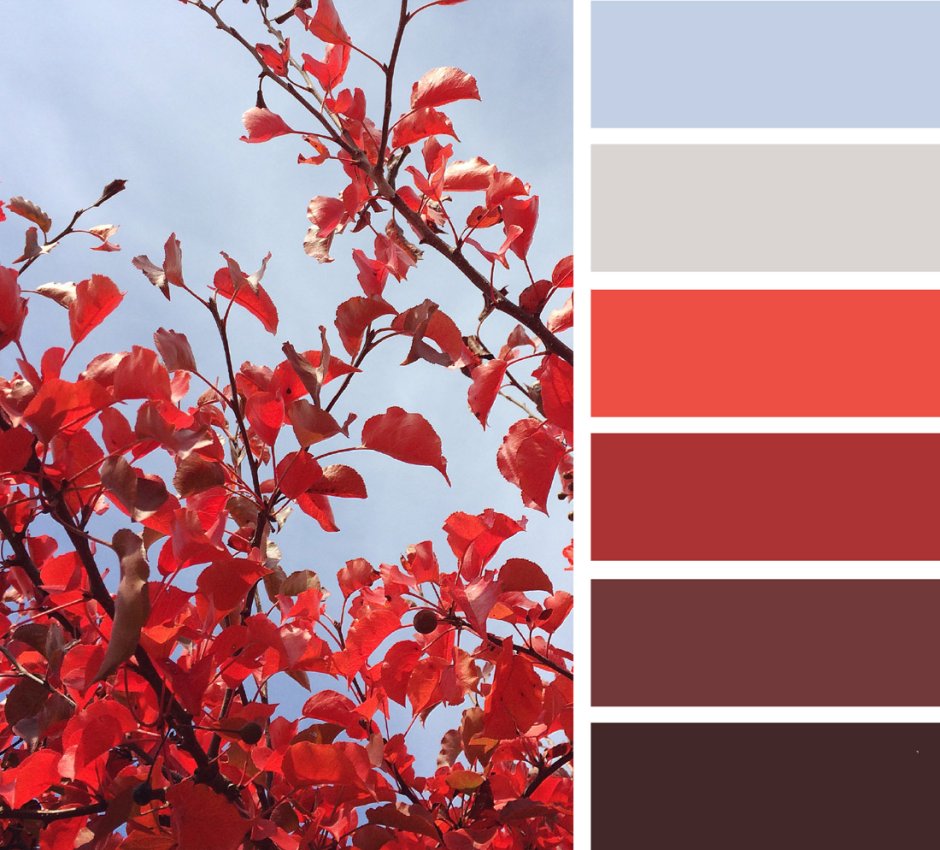 Японский интерьер жапанди