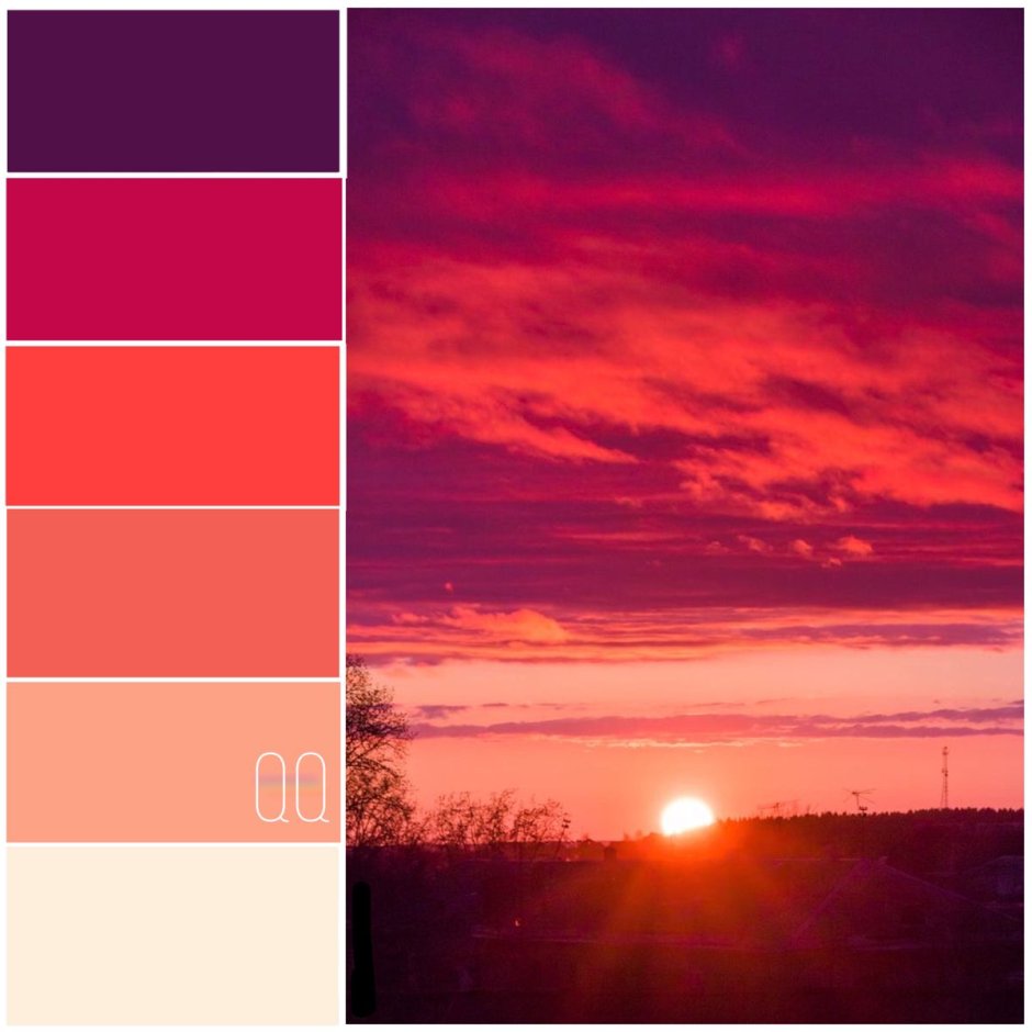 Цветение Сакуры в Японии сады