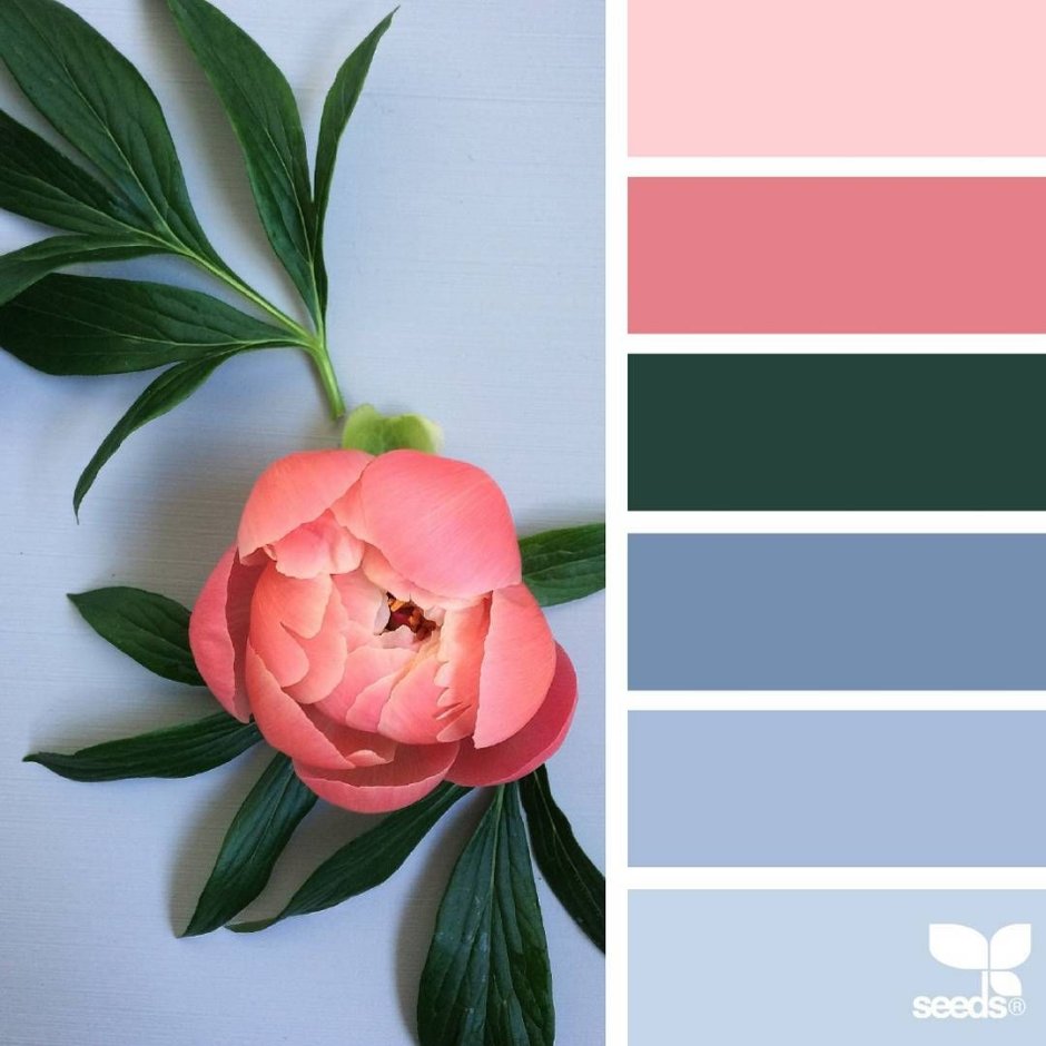 Палитра заката