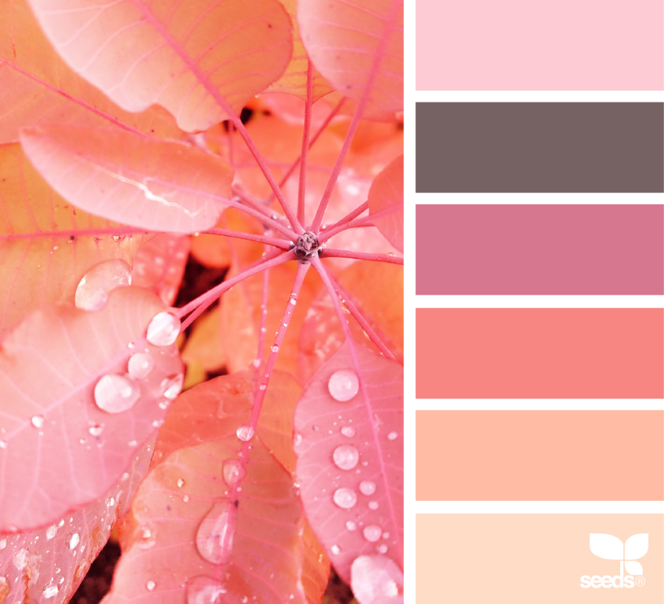 Сочетание цветов закат