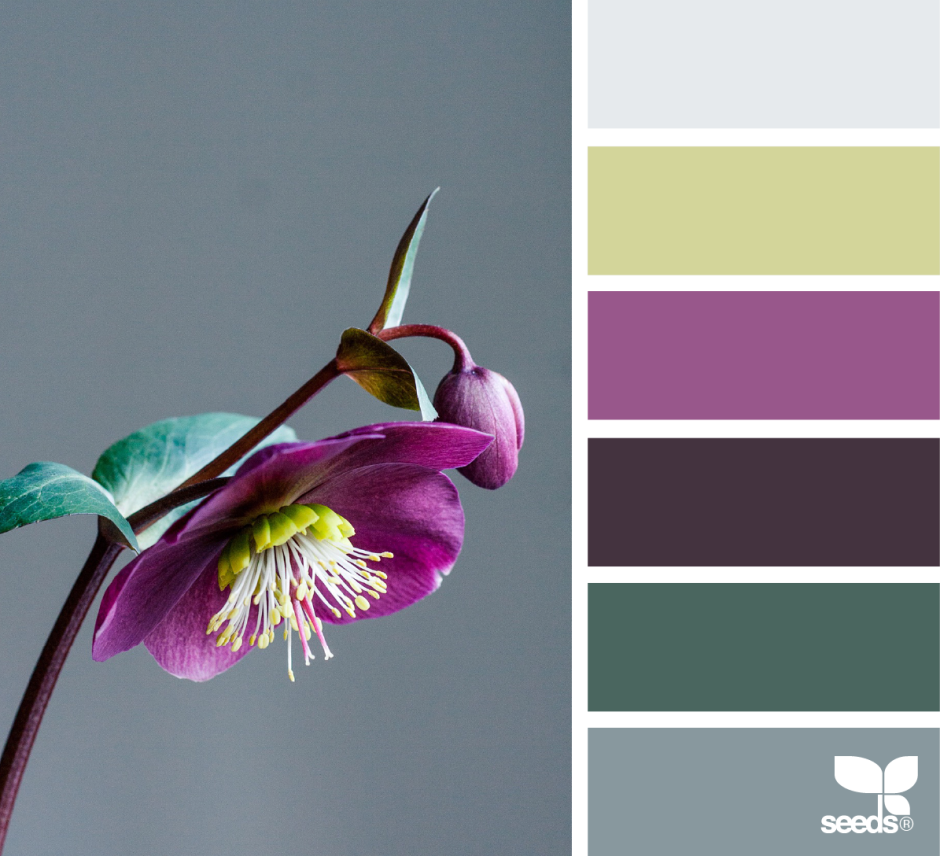 Индия цветовая палитра