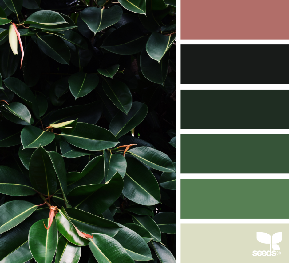 Сочетание цветов с темно зеленым