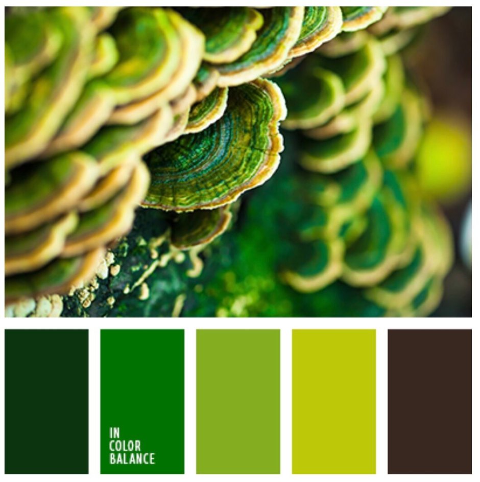 Seeds Color Palette изумрудный