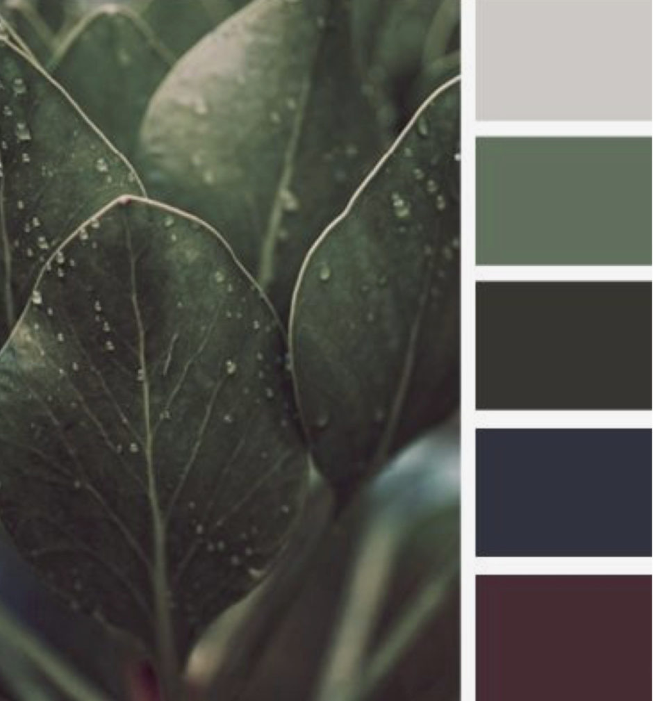 Сочетание цветов с темно зеленым