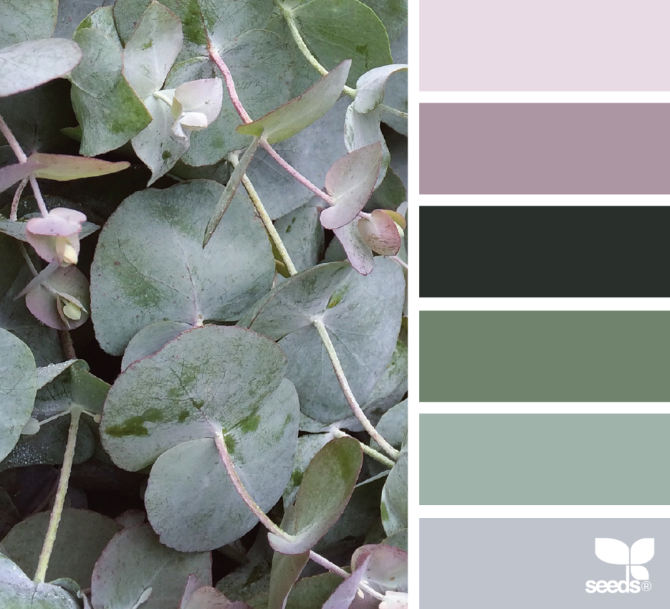 Eucalyptus Green цвет