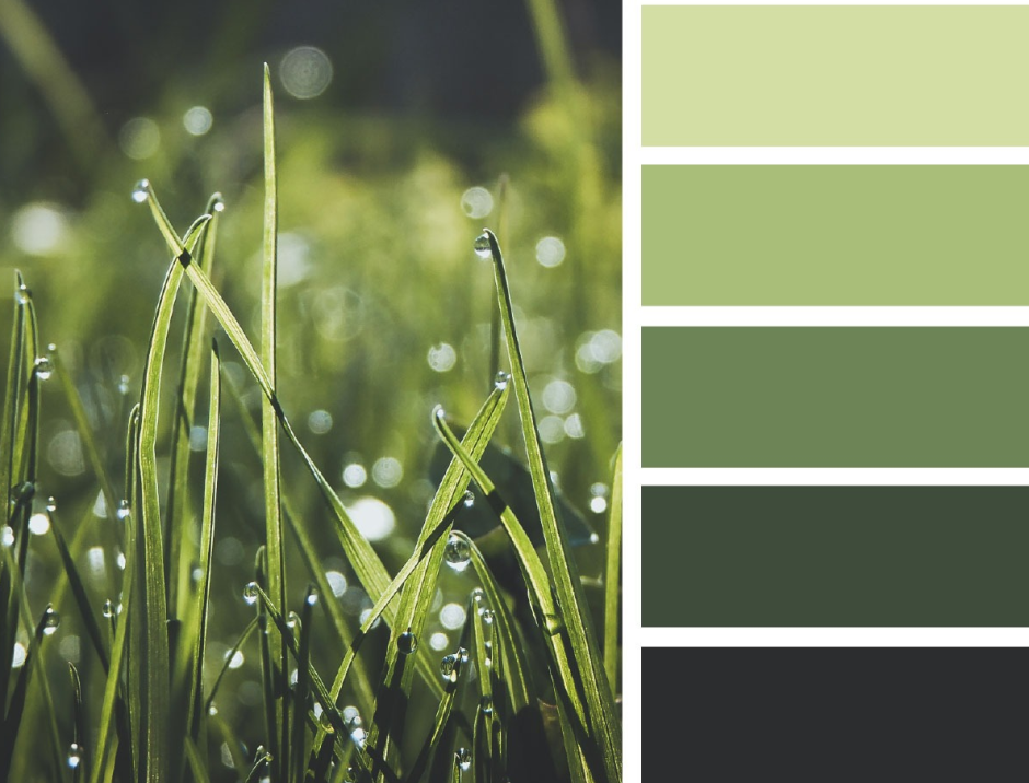 Цветовая гамма зеленого цвета