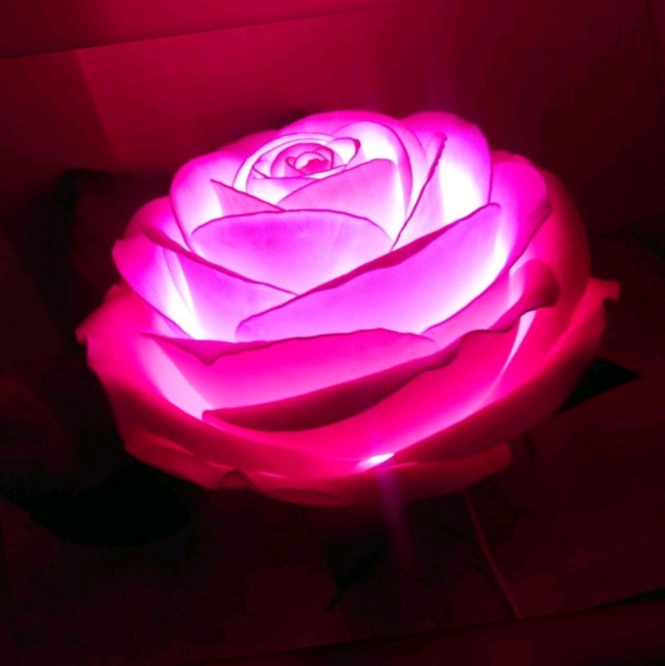 Светильник роза фиолетовый Feron 06202