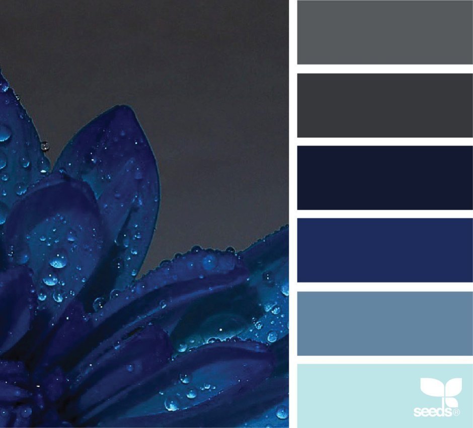 Синий цвет палитра