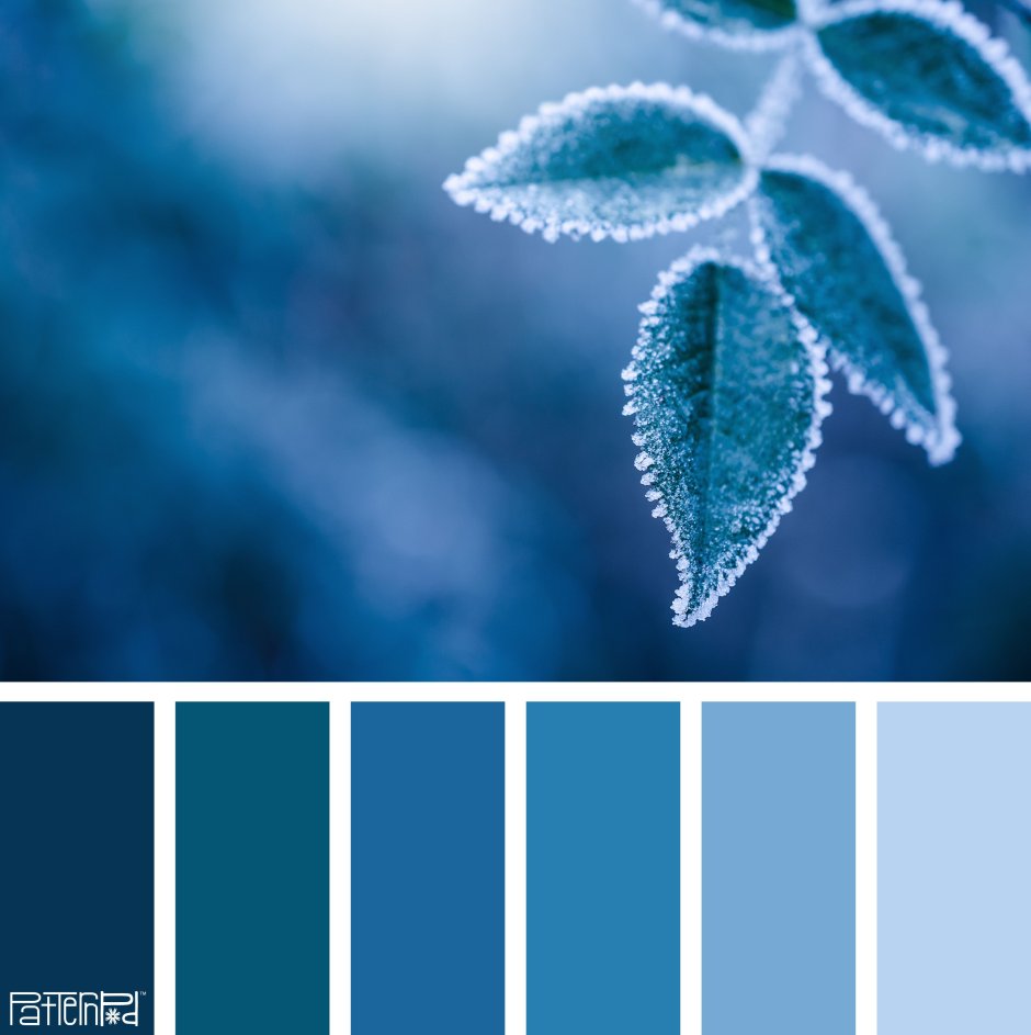 Палитра синих цветов