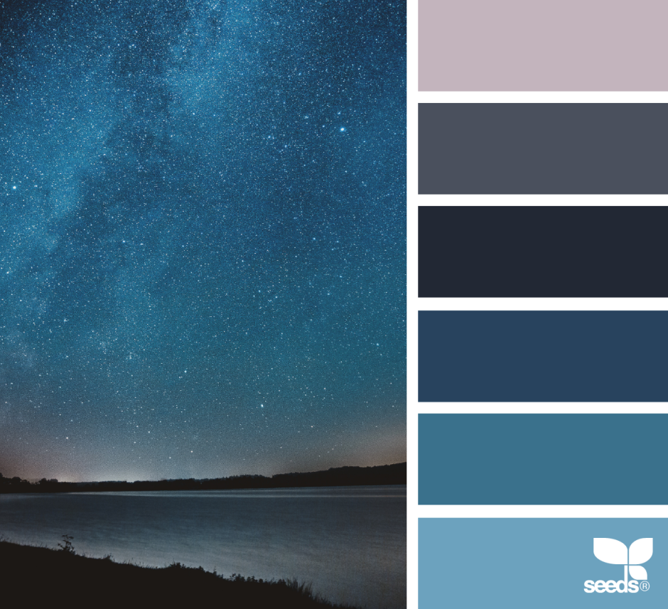 Палитры Сидс синий