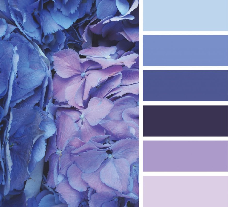 Палитры Сидс голубой