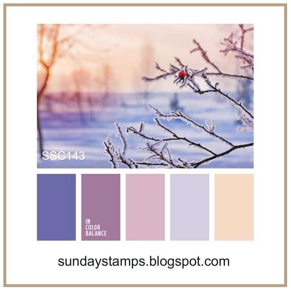 Колористика зима