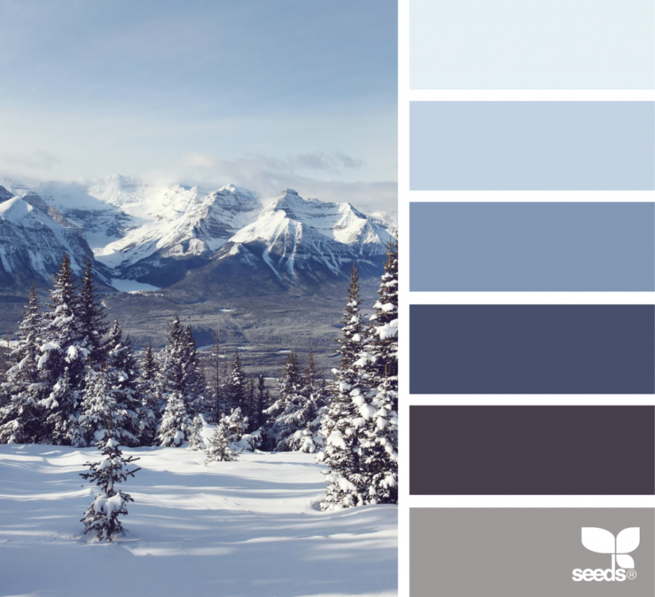 Зимняя палитра цветов