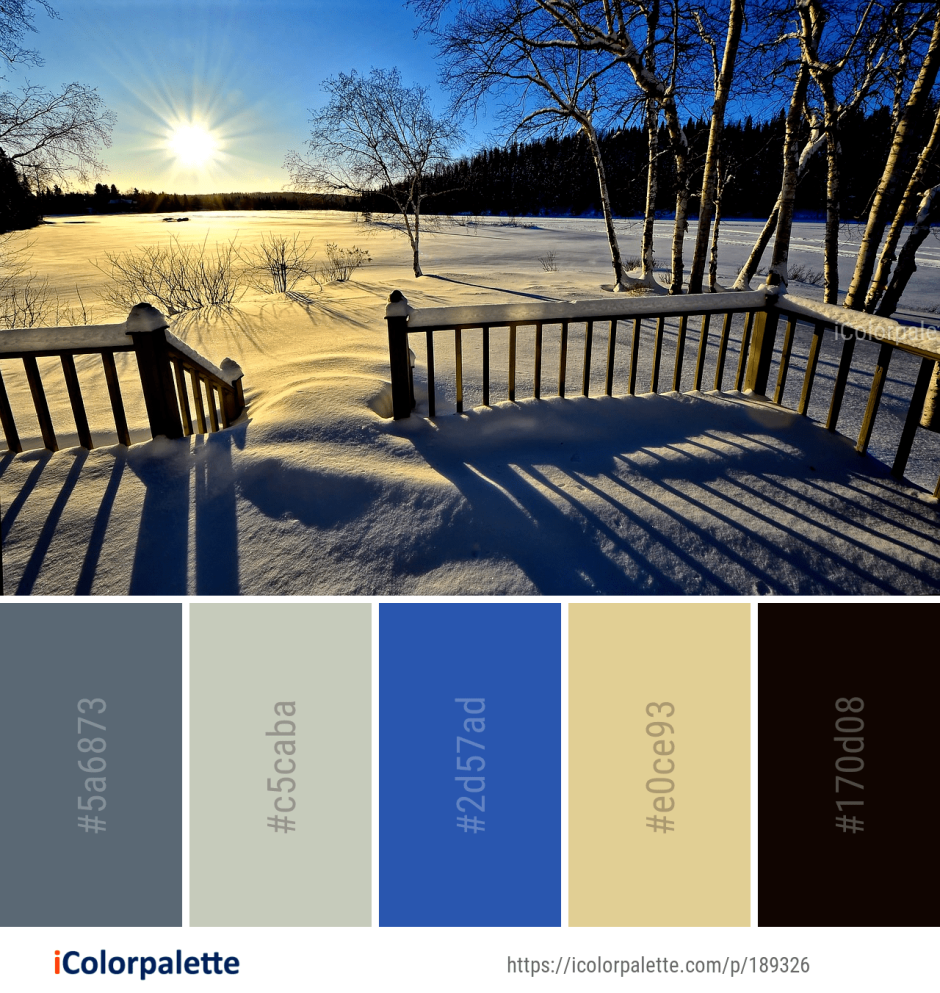 Холодная зимняя палитра