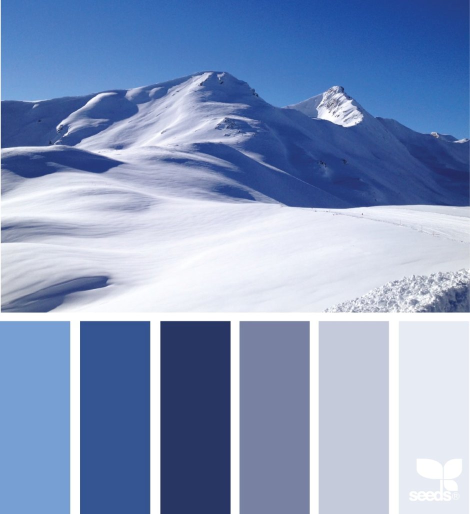 Палитра холодных цветов