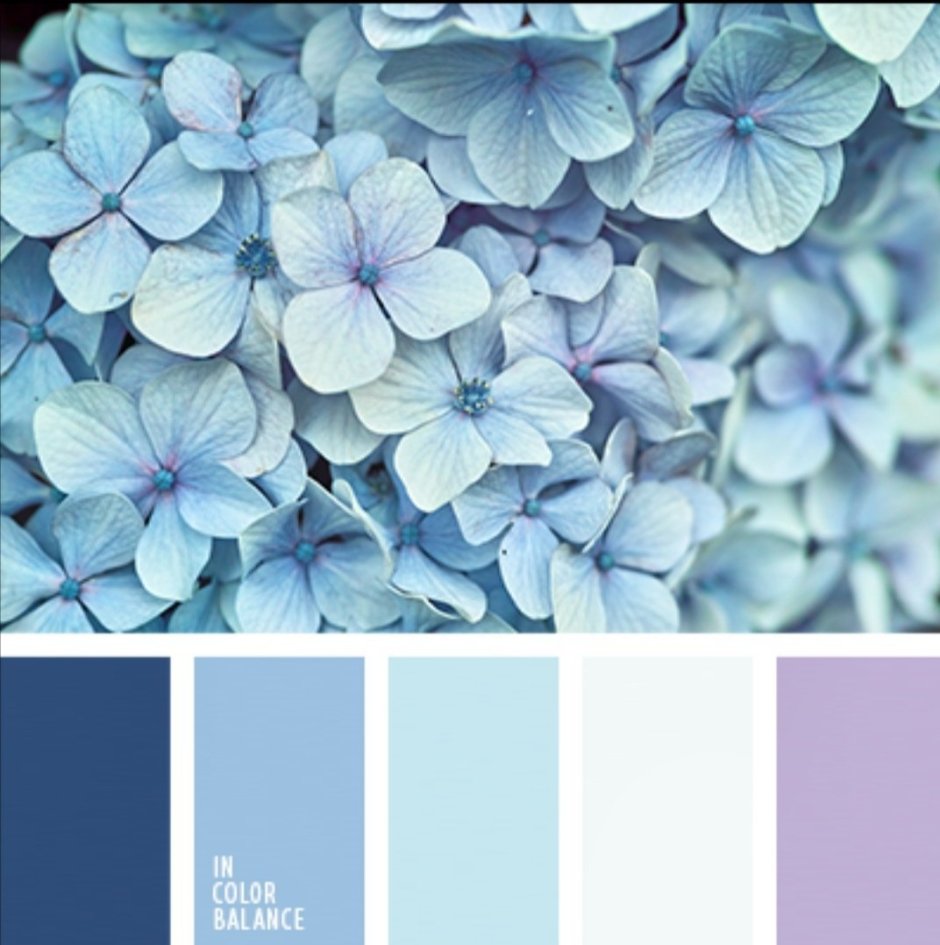 Цветовая палитра пастельных голубых цветов