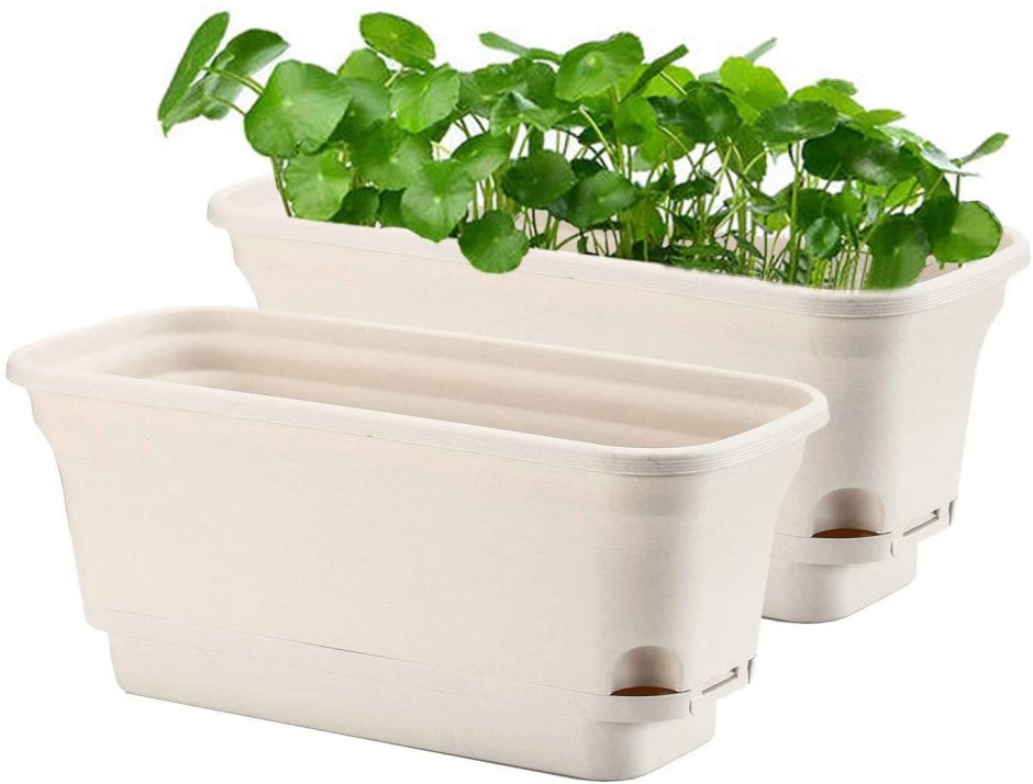 Self watering Plastic Pots