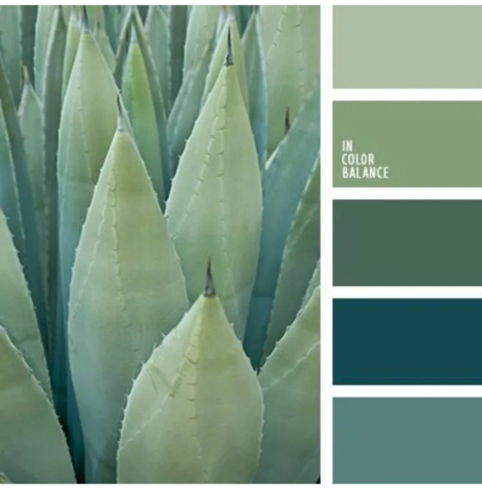 Цветовая палитра пантон шалфей