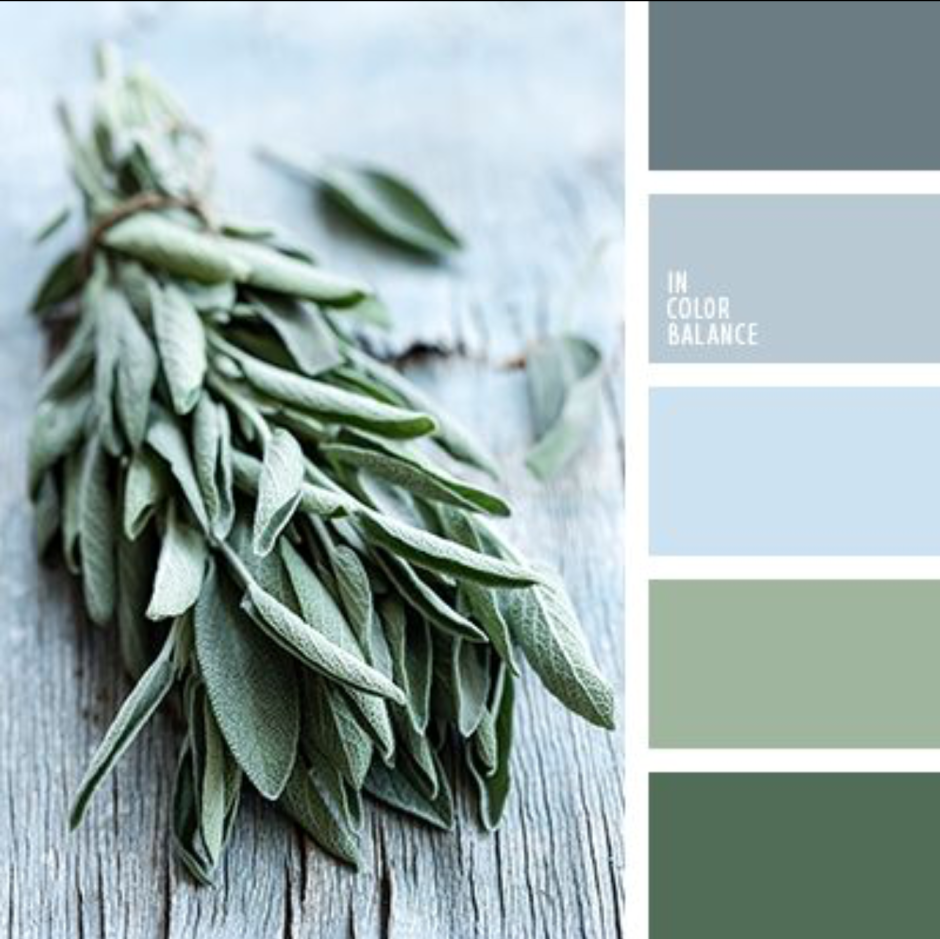 Цвет шалфей пантон