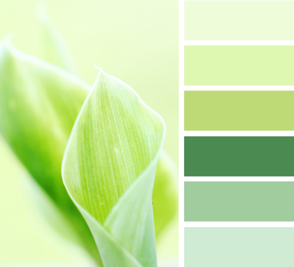 Палитра Сидс холодные зелёные