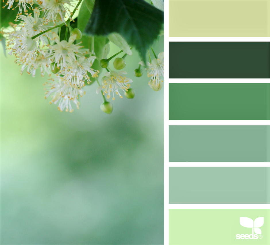 Цветовая палитра зеленых оттенков