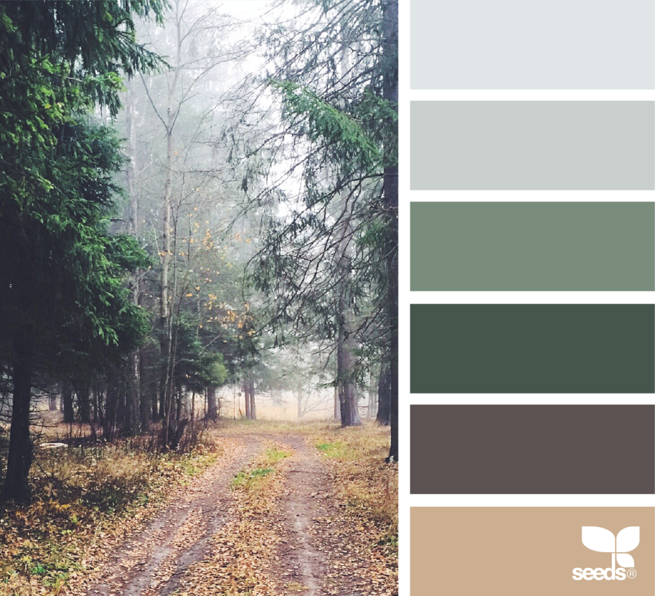 Сочетание цветов серый зеленый