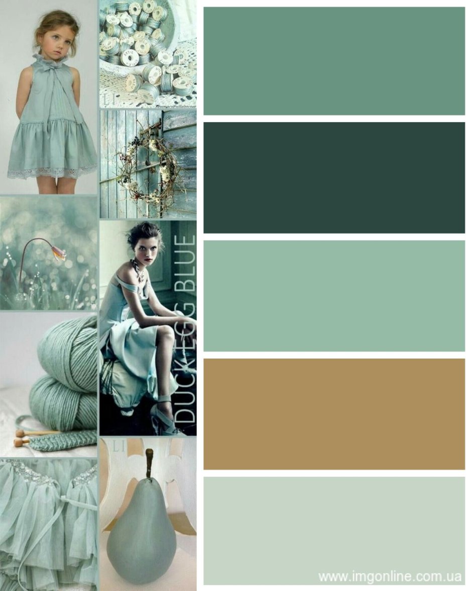 Сочетание с серо зеленым цветом