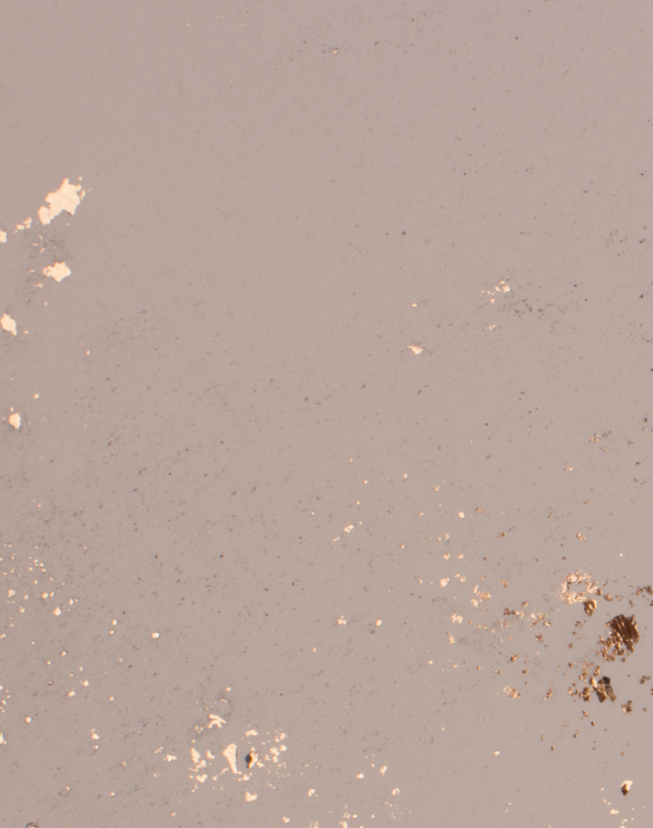 Бежевые блестки