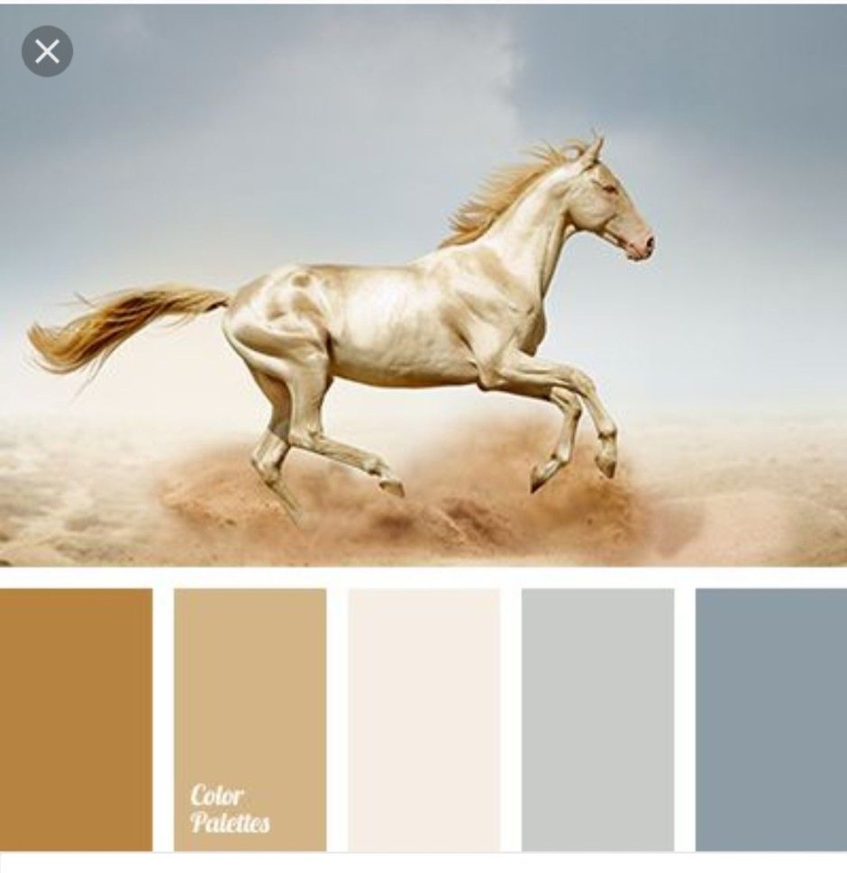 Золотисто-бежевый цветовая палитра