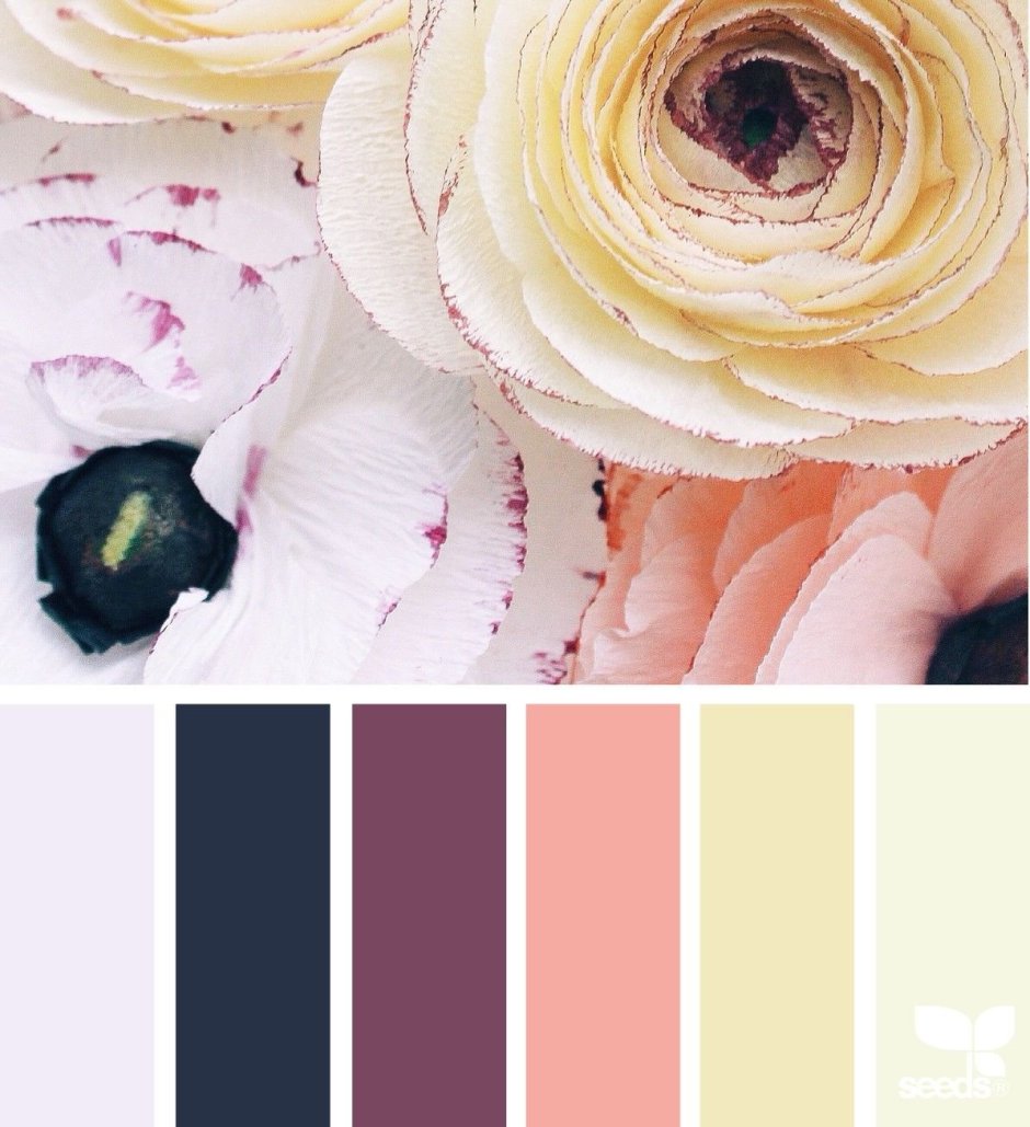 Сочетание цветов