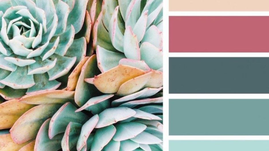 Цветовые сочетания