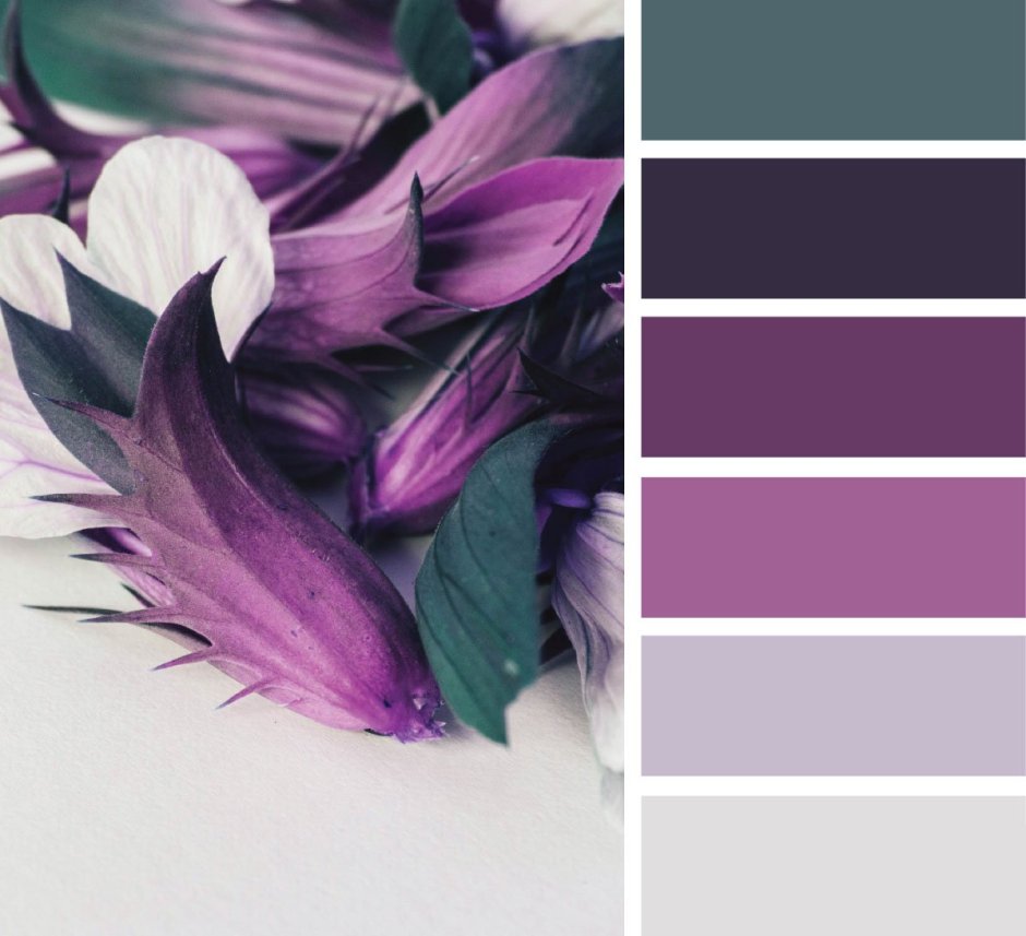 Палитры Сидс лиловый