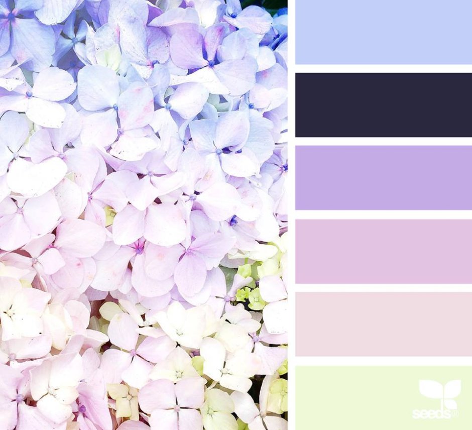 Палитра много цветов