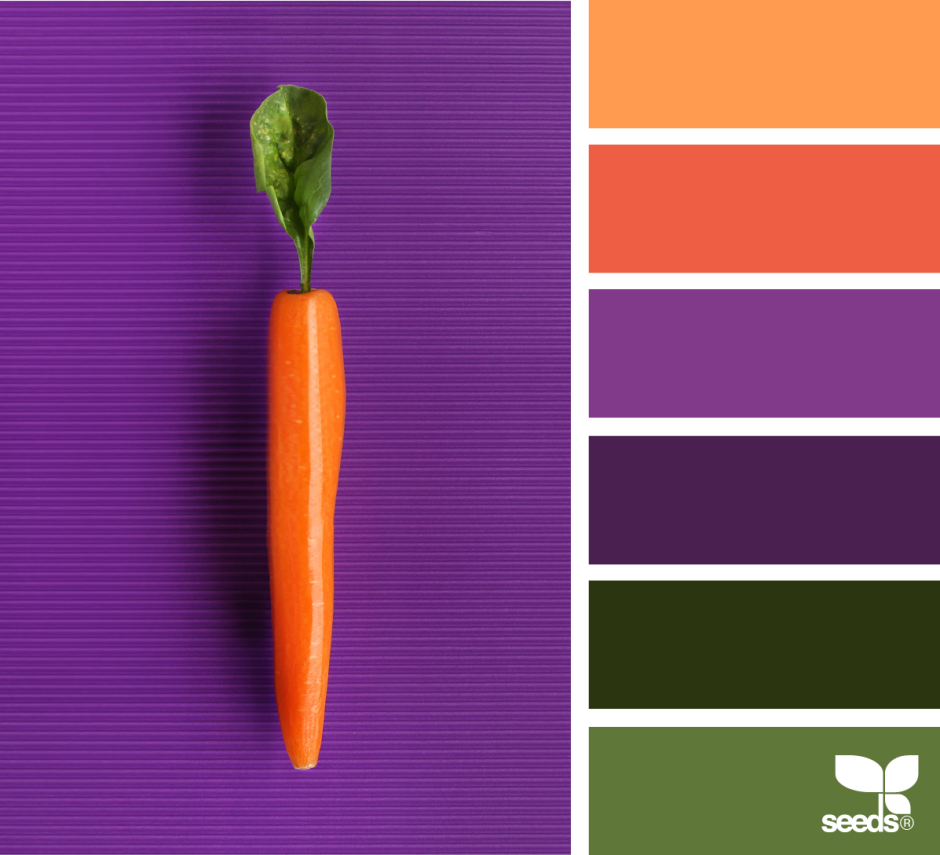 Сочетание цветов с оранжевым