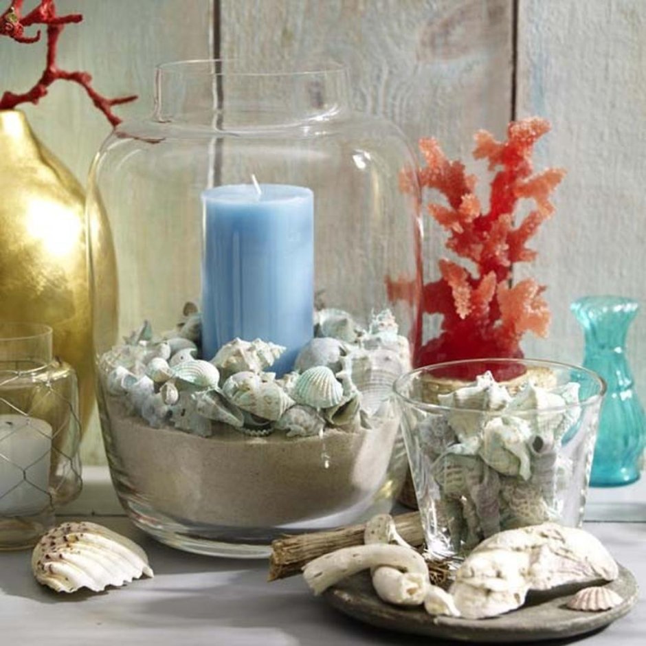 Ракушки в вазе для интерьера