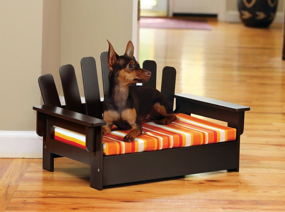 Кресла для собак в квартиру