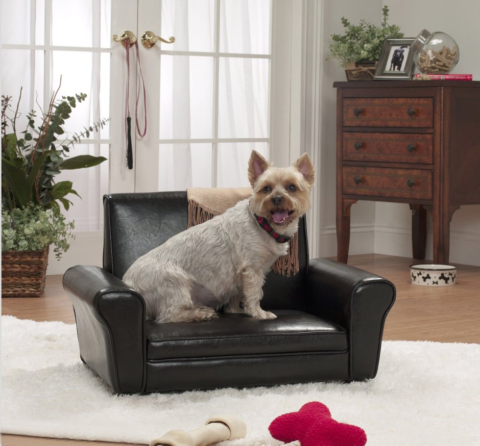 Кресло для собаки