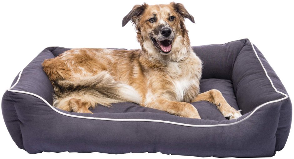 Деревянная кровать для собаки