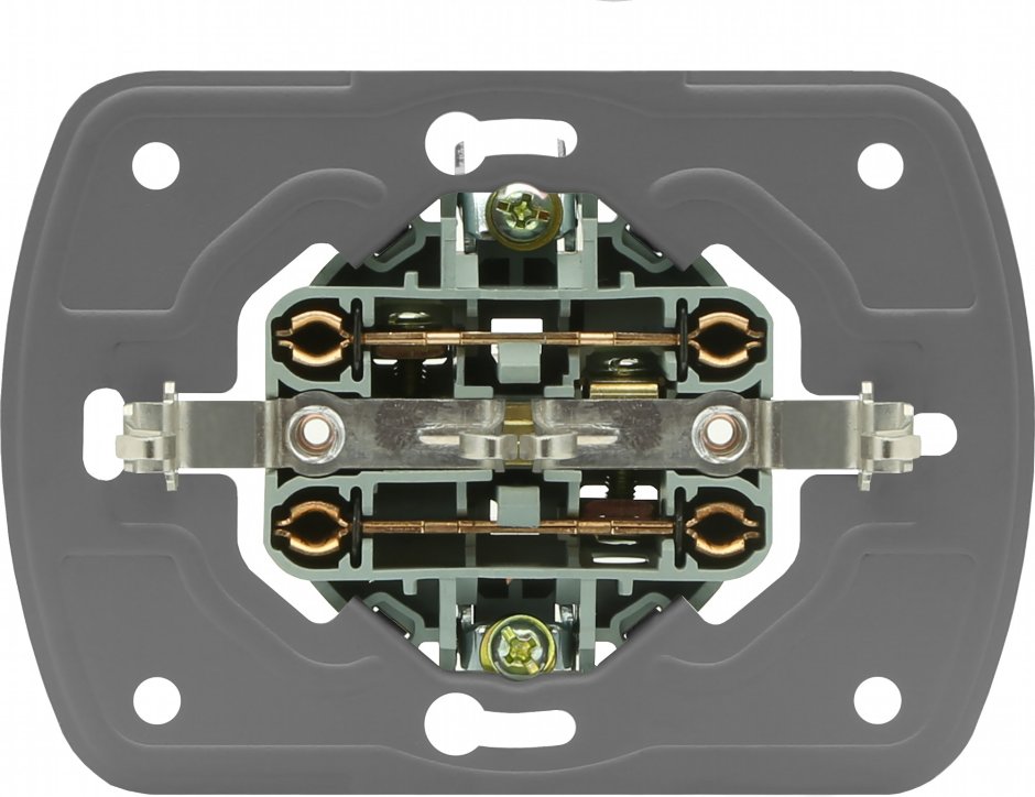 Розетка двойная внутренняя Лизард