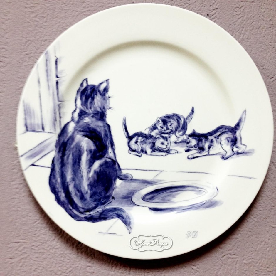 Кот в тарелке