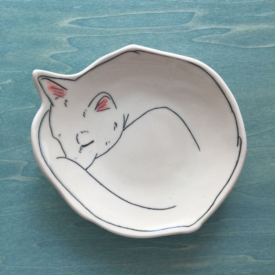 Кот из тарелки