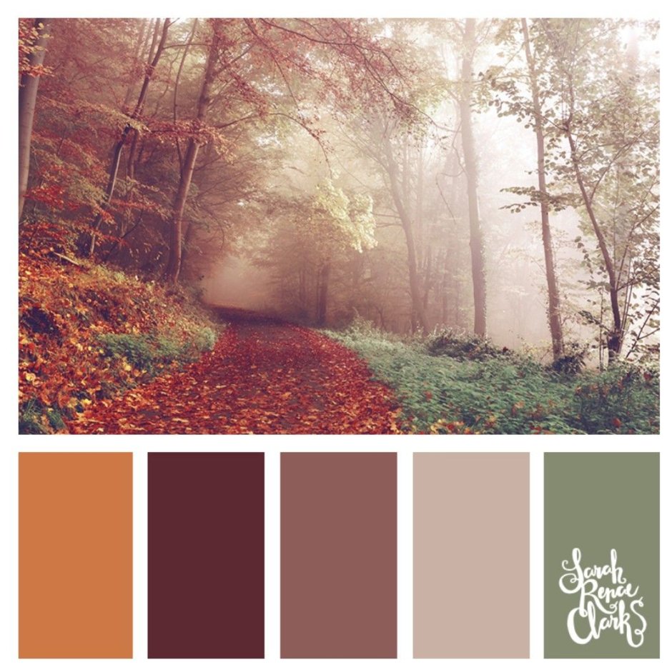 Цветовая палитра пейзаж