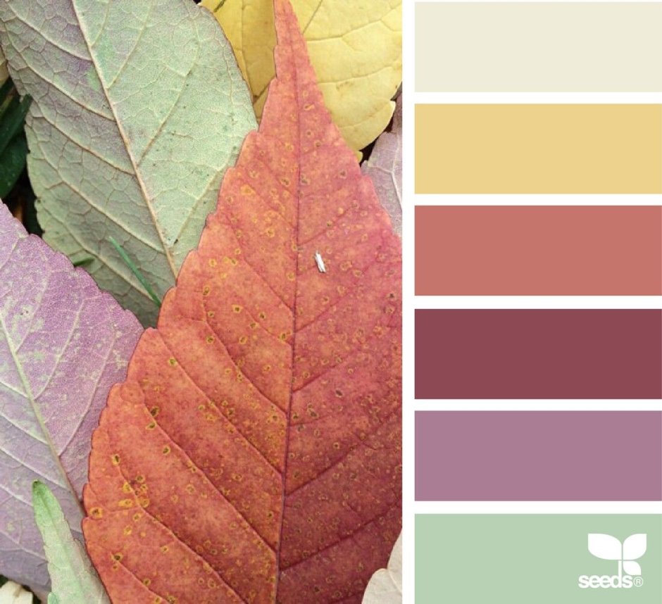 Цветовые сочетания теплые