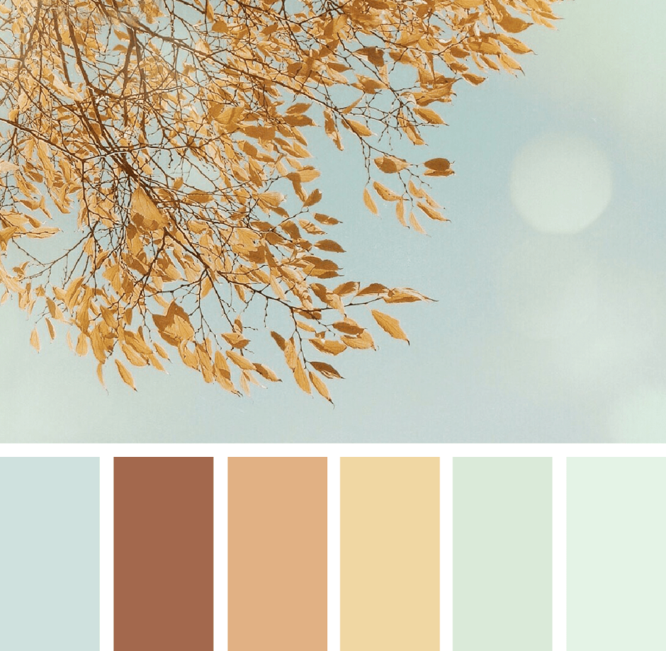 Палитра осенних оттенков