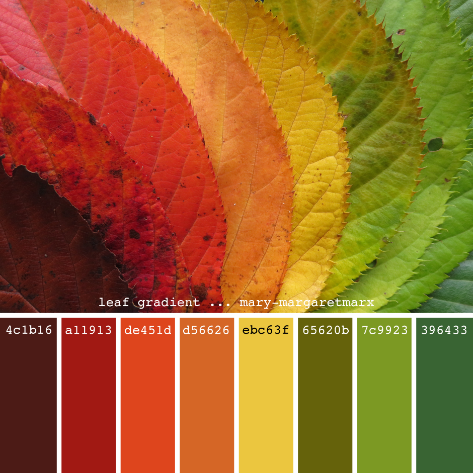 Сочетание цветов оранжевый осенние