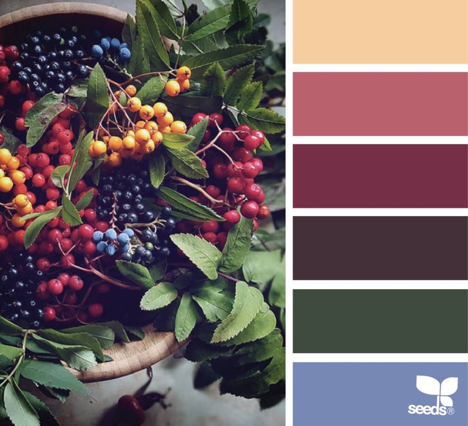 Осенние сочетания цветов