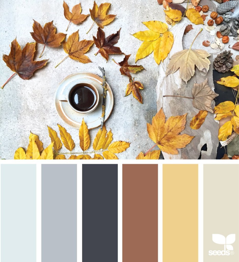 Осенняя цветовая палитра